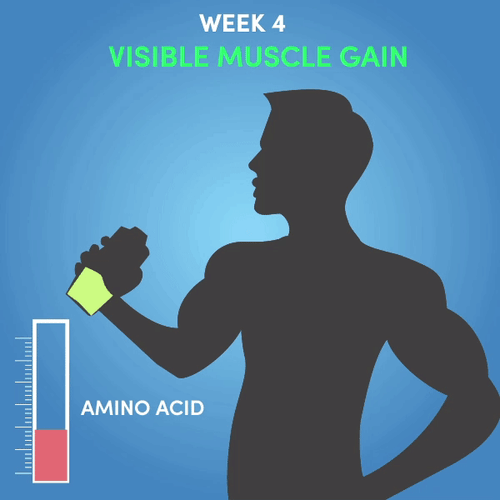 Visible muscle gain