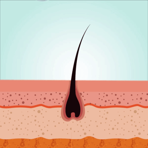Improves hair health