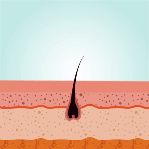 Boosts hair growth