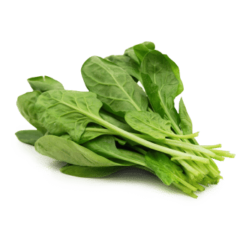 Iron
