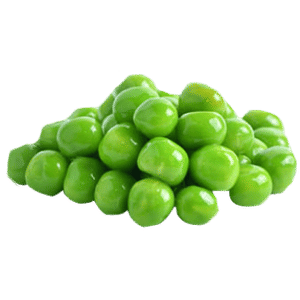 Pea Protein