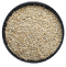 Bajra