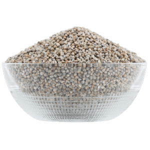 Bajra